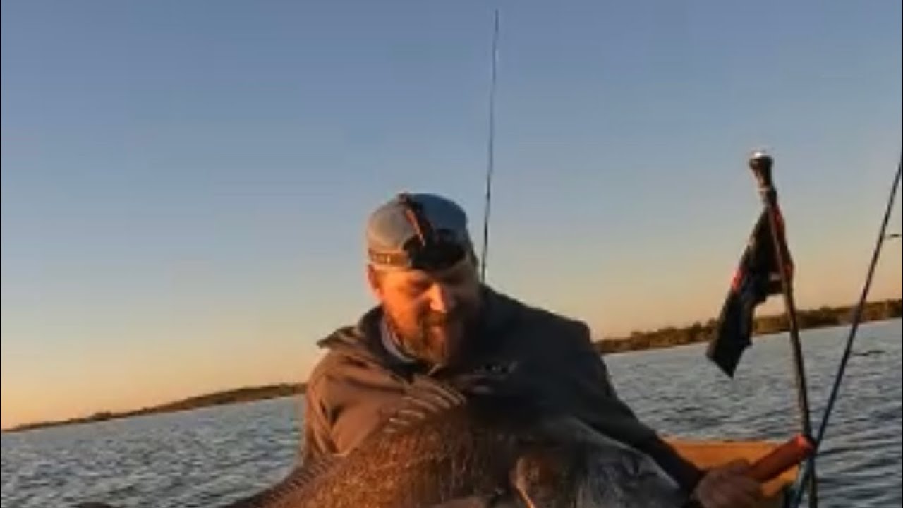 Monster black drum caught kayak fishing Indian river Titusville Florida YouTube