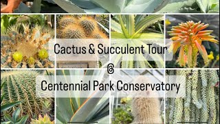 Cactus & Succulent Tour  @ Centennial Park Conservatory ￼(Aloe, Agave, Opuntia, orchid cactus &more) by lifeofbellina 923 views 1 month ago 21 minutes