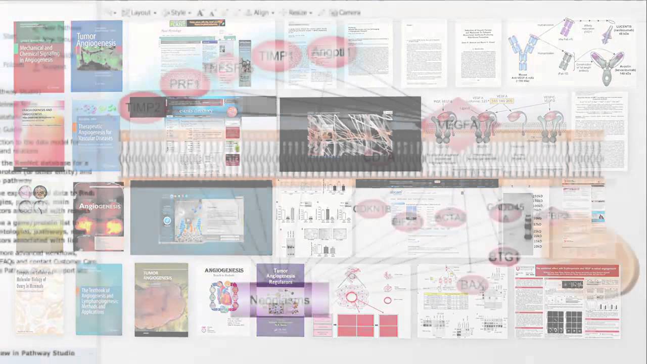 Pathway Studio Pathway Studio – 哺乳動物資料庫 - YouTube
