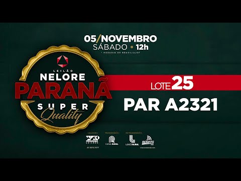 LOTE 25 PAR A2321