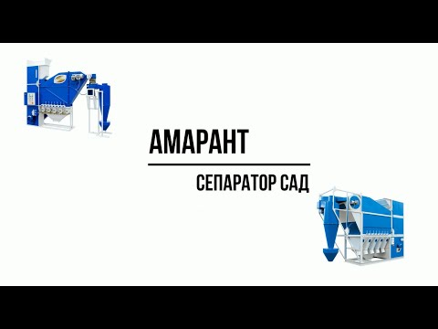 Очистка Амаранта |