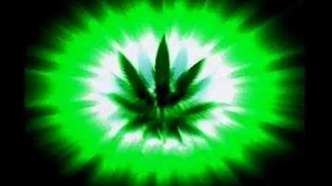 Whole lotta Weed - Project Pat