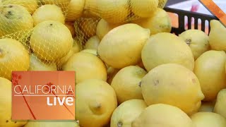 A Chef's Playground at the Santa Monica Farmer's Market | California Live | NBCLA