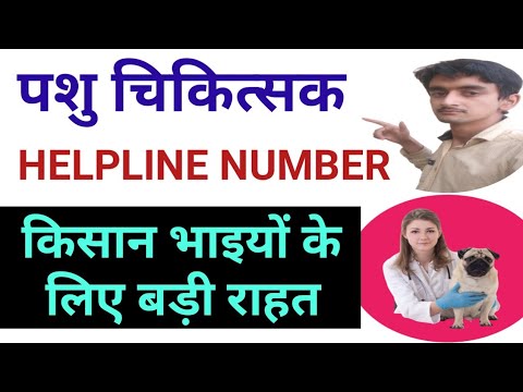 Pashu chikitsak helpline number/ veterinary pharmacist number/ veterinary  hospital helpline number🐃 - YouTube
