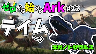 [ #22 ゼロから始めるArk ] ギガノトサウルスをテイムして準備する #boss #ラグナロク #ark #arksurvivalevolved #コラボ