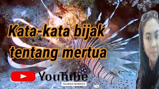 kata-kata mutiara bijak tentang mertua