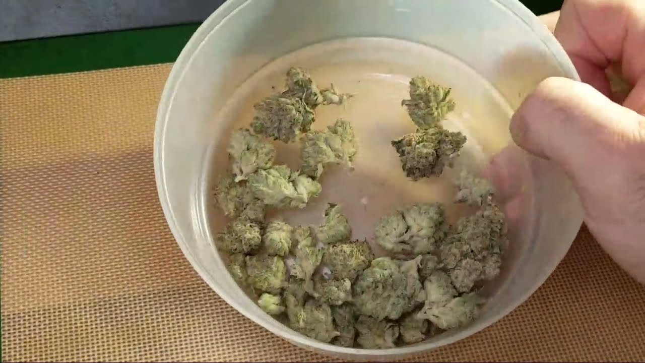 Got Some Really Good Flower From Rise Dispensary