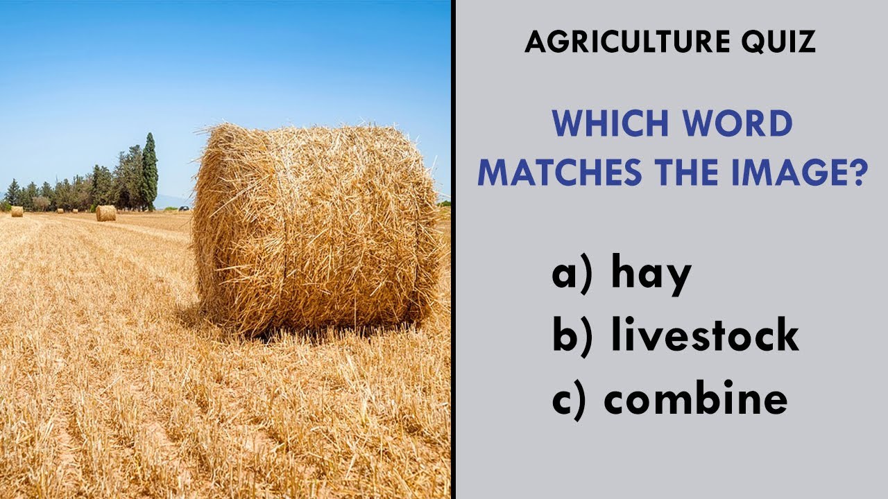 Agricultural Vocabulary Quiz