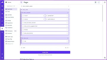 CMS SEO Plugin [Directus Extension]