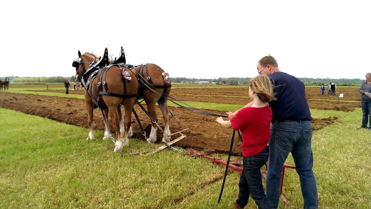 2015 international plowing match YouTube