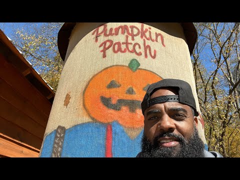 Daddy Daycare goes to the pumpkin patch with the family