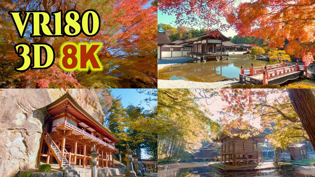 [8K VR180 3D ] 奥州・平泉・北上の紅葉 Autumn leaves in Historic sites,Iwate,Japan