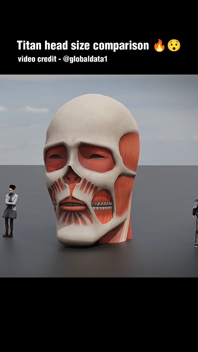 TITANS HEAD COMPARISON: Who's the Biggest? || Titans comparison 🔥😉 #shorts #anime #titan #badass