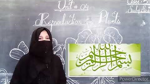 Class 5th - Science - Assignment for Copy # 03 - HSS 2021 - 22