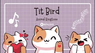 Tit Bird Ringtone | Ringdd