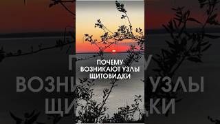 ДАВАЙ БОЛЬШЕ! Как недостаток йода провоцирует узлы в щитовидке