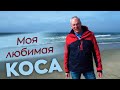 Моя любимая коса...