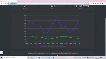 How to set custom node for flint wallet on Cardano