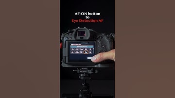 Best Canon R5/R6 Autofocus Settings.