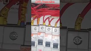 MCB Connection | DB MCB Wiring ▶️ | MCB Wiring in DB #electrical #shorts