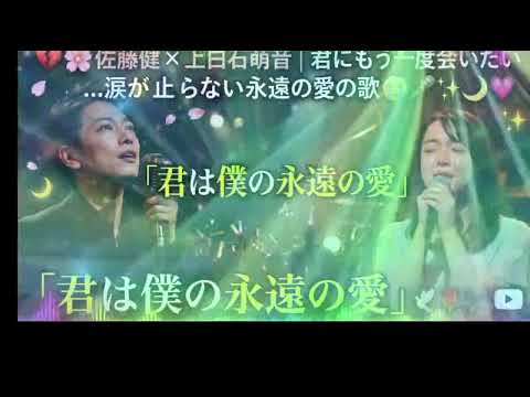 💔🌸 佐藤健 × 上白石萌音｜君にもう一度会いたい…涙が止まらない永遠の愛の歌 😭🎤✨🌙💖「君は僕の永遠の愛」🕊️🌹🎶