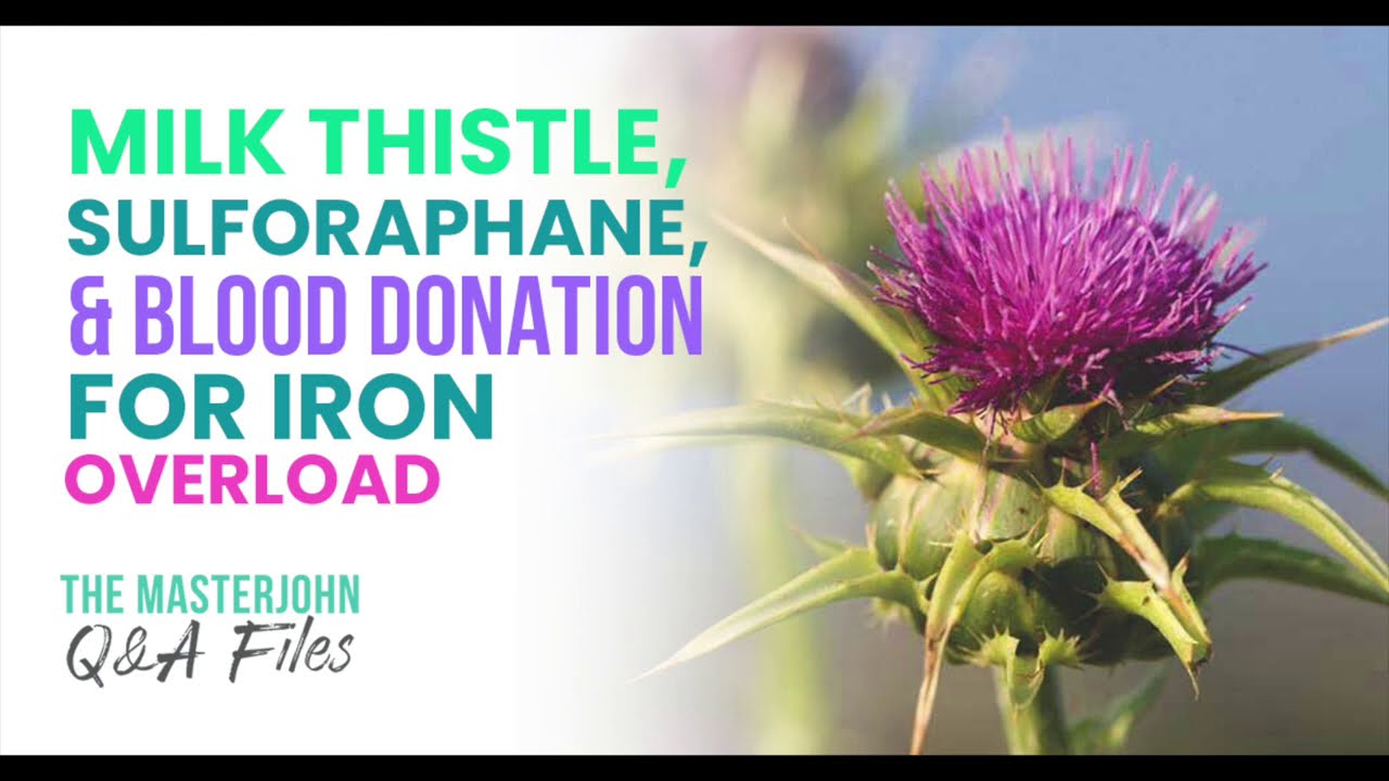 Milk thistle, sulforaphane, and blood donation for iron overload YouTube