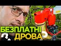 Допоможе пережити опалювальний сезон. Огляд подрібнювача гілок ARPAL АМ-80БД MAX