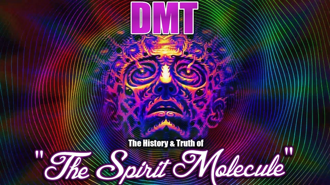 dmt the spirit molecule dmt the spirit molecule