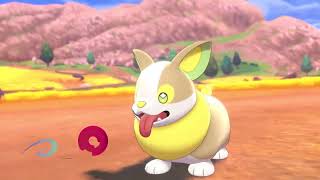 Pokémon Sword and Shield Music compilation