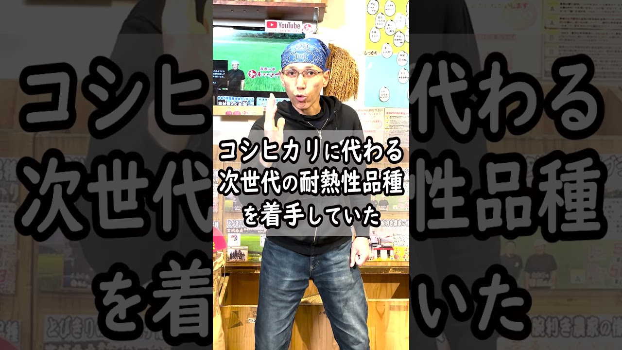 特A】コシヒカリに代わる次世代品種「にこまる」 - YouTube
