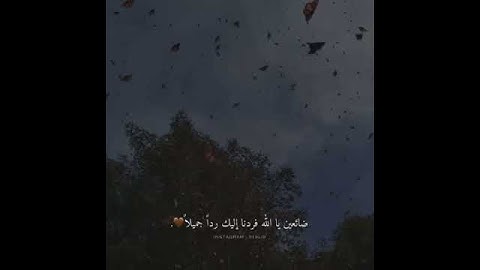 آيات من سورة الحجرات - القارئ عبد الرحمن مسعد