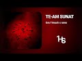 Eva Timush x rares - Te-am sunat | 1 Hour