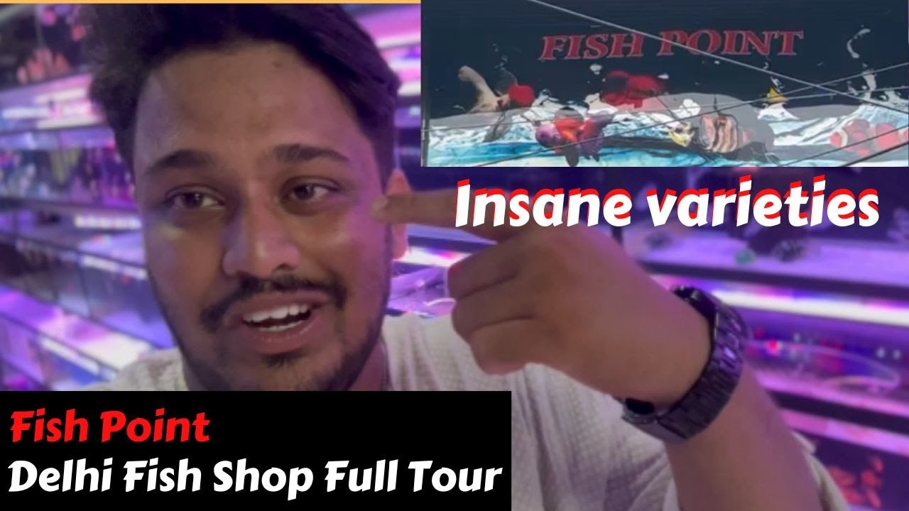 Exploring Fish Point: Delhi’s Most Iconic Aquarium Store I Souls of ...