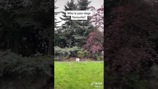 Friz Zerwał Z Wersow