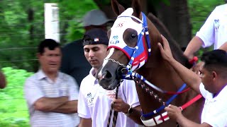 Classificatórias - GP HARAS PRIMAVERA 2022 - Espetacular, Corrida de Cavalos