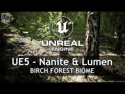 MAWI Birch Forest Biome | Unreal Engine 5 with Nanite &amp; Lumen