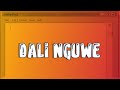 Wanitwa Mos & Master KG - Dali Nguwe Ft. Nkosazana Daughter_ Basetsana & Obeey Amor (Lyrics Video)