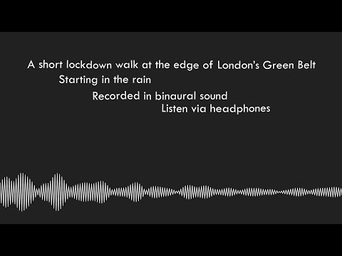 A Short Lockdown Walk on the Edge of the Green Belt - Recorded Binaurally - WEAR HEADPHONES
