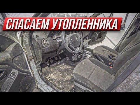 Видео: Детейлинг утопленника. Рискованный эксперимент. Renault Duster из потопа в Сочи.