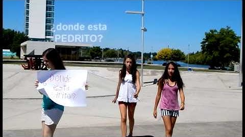 preguntas MR - mellis Neuquen