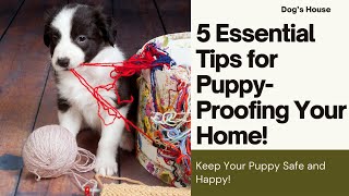 Puppy-Proofing Made Simple: 5 Must-Know Tips for a Safe Home Environment