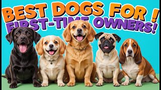 First Time Dog Owner? WATCH THIS Before You Bring Home Your New Best Friend!
