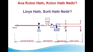 Ana Kolon Hattı, Kolon Hattı Nedir? Linye,Sorti Nedir? #proje #elektrik www.elektricotomasyon.com.tr