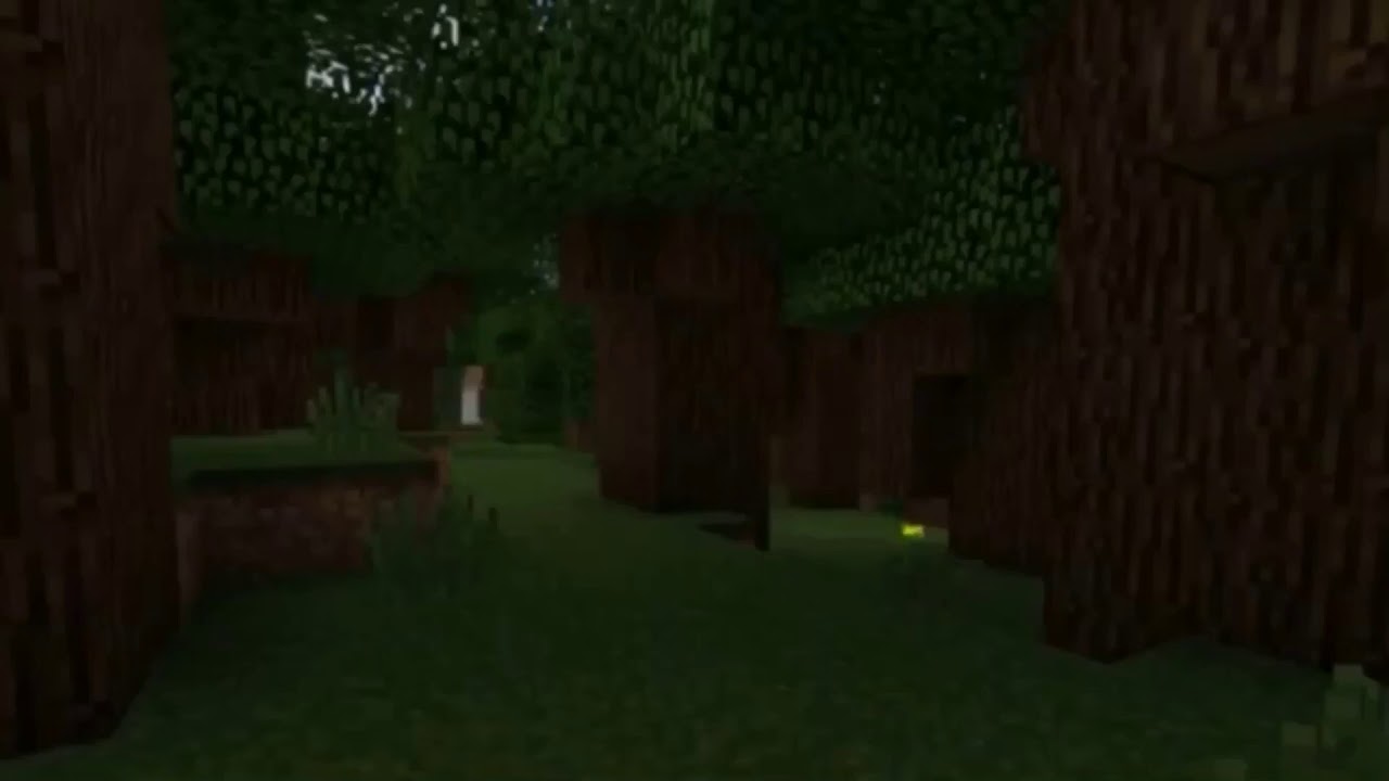 Minecraft Dark Oak Wood Planks