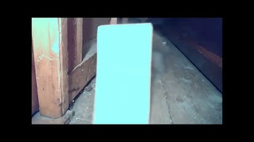 Squirrel vs Rattrap!