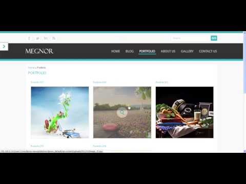Portfolio Settings - Wordpress Framework - TemplateMela Tutorial