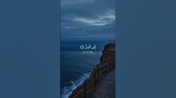 سورة غافر الآيات ( 41 - 42 )                         Surah Ghafir, verses (41-42)