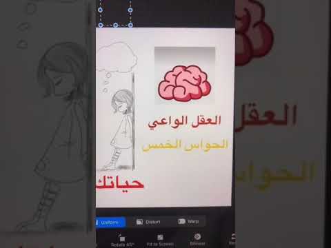 فيديو: هل يقف إلى العقل؟