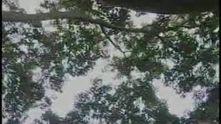Ontore Mor Harour Jigo Sinha : Chandrakanti