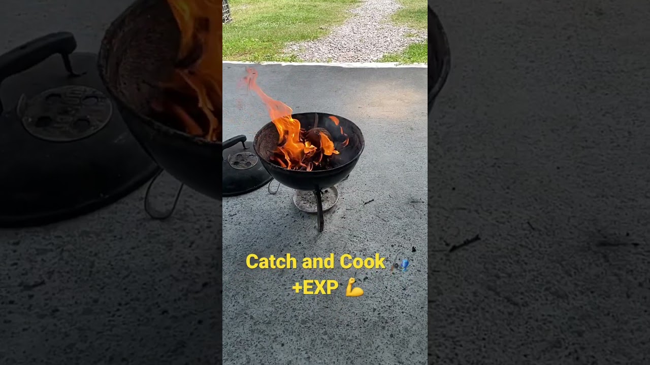 Catch and Cook YouTube